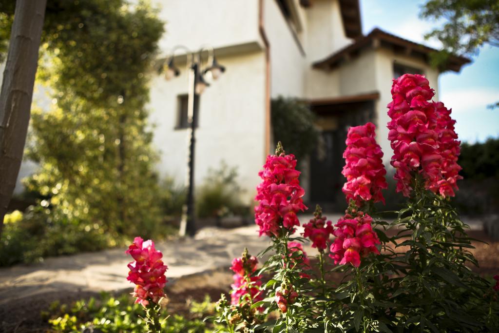 Villa Golan Qaşrīn Kültér fotó